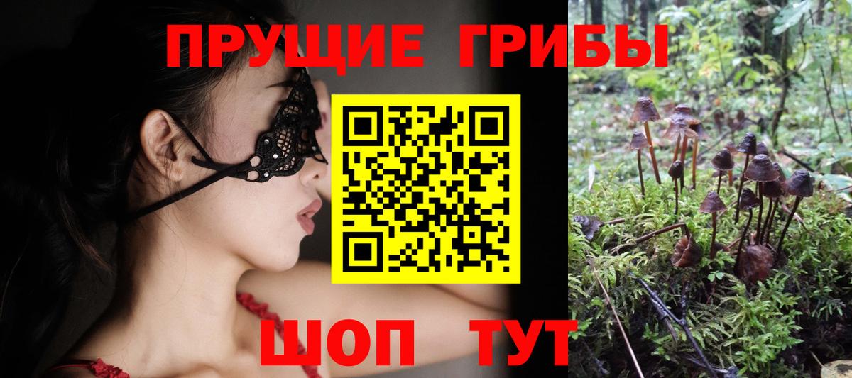купить  сайты  Псилоцибиновые грибы Psilocybe  Вход с VPN  Аргун 